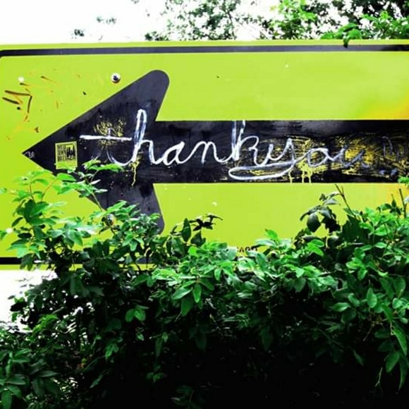 Meet your Posher, Julie Anne - Picture 3 of 8